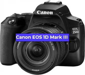 Замена Прошивка фотоаппарата Canon EOS 1D Mark III в Санкт-Петербурге